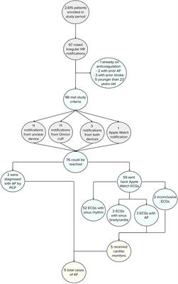 Evaluation of atrial fibrillation using wearable device signals and home blood pressure data in the Michigan Predictive Activity & Clinical Trajectories in Health (MIPACT) Study: A Subgroup Analysis (MIPACT-AFib)
